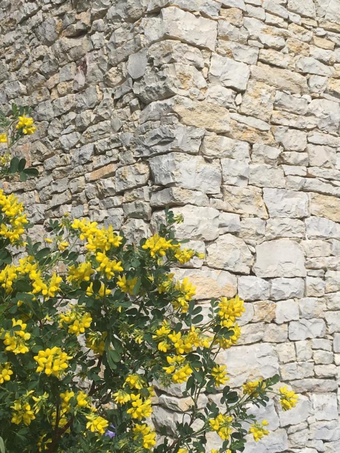 La Chambre Haute Et Son Spa Nîmes Esterno foto