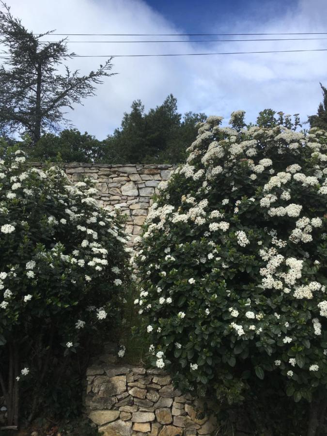 La Chambre Haute Et Son Spa Nîmes Esterno foto