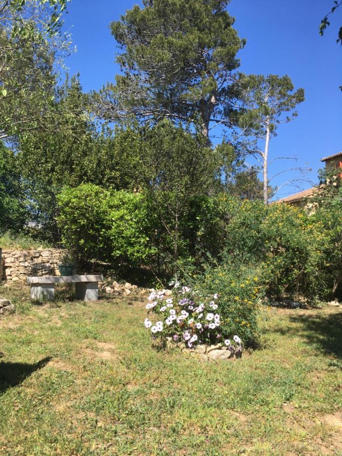 La Chambre Haute Et Son Spa Nîmes Esterno foto